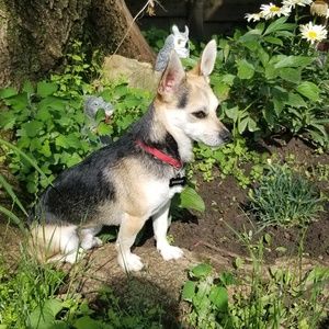 Meet your Posher, Kristy